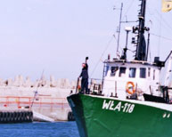 Armator kutra